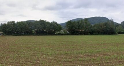 Labarthe-Rivière Terrain à bâtir - 2449874-6043annonce220260306TnZws.jpeg Maisons Open