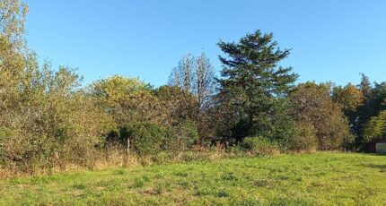 Saint-Martial-d'Artenset Terrain à bâtir - 2451609-5020annonce120260310Sn9ch.jpeg Maisons Open