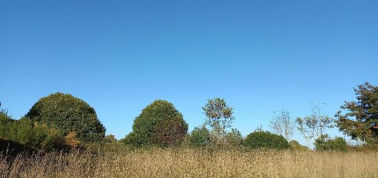 Terrain à bâtir à Saint-Martial-d'Artenset, Nouvelle-Aquitaine