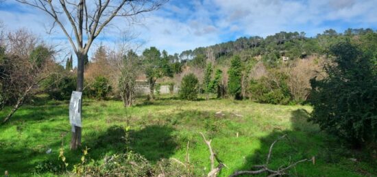 Terrain à bâtir à Carnoules, Provence-Alpes-Côte d'Azur