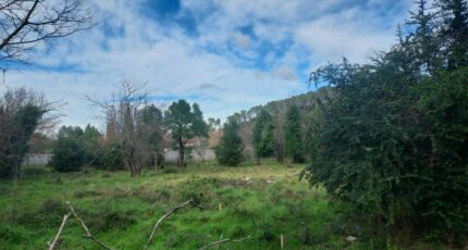 Carnoules Terrain à bâtir - 2451806-11137annonce220260310G7Twi.jpeg Maisons Open