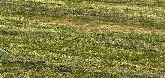 Terrain à bâtir à Tesson, Nouvelle-Aquitaine