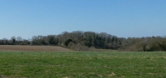 Terrain à bâtir à , Calvados