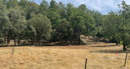 Taradeau Terrain à bâtir - 2395222-11039annonce320260116bcNJk.jpeg Maisons Open