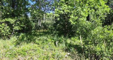 Néoules Terrain à bâtir - 2395187-11039annonce220260116038mE.jpeg Maisons Open