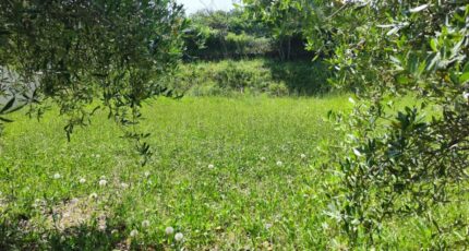 Brignoles Terrain à bâtir - 2399487-11039annonce120260120trGHZ.jpeg Maisons Open