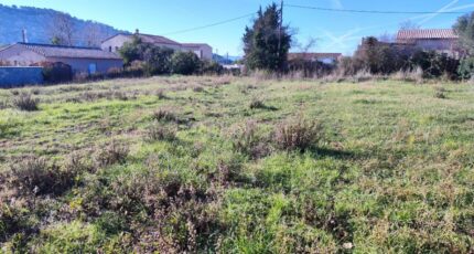 Carnoules Terrain à bâtir - 2410707-11039annonce120260128qifeX.jpeg Maisons Open