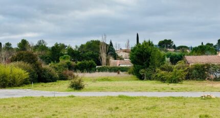 Garéoult Terrain à bâtir - 2452248-4866annonce320260310rSTwL.jpeg Maisons Open