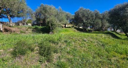Grasse Terrain à bâtir - 2452534-11719annonce220260310tVphk.jpeg Maisons Open