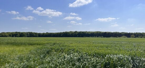 Terrain à bâtir à Surville, Normandie
