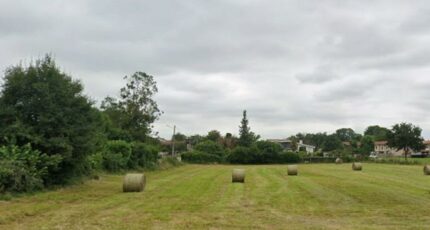 Valentine Terrain à bâtir - 2449884-6043annonce220260306xd8eB.jpeg Maisons Open