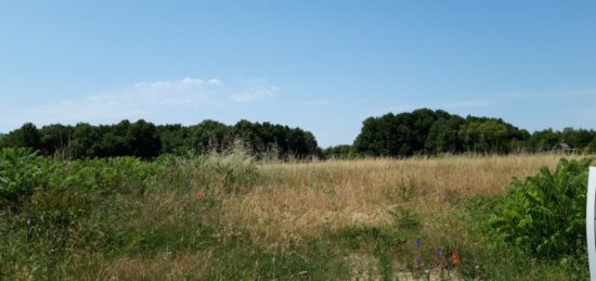 Terrain à bâtir à Cinq-Mars-la-Pile, Centre-Val de Loire