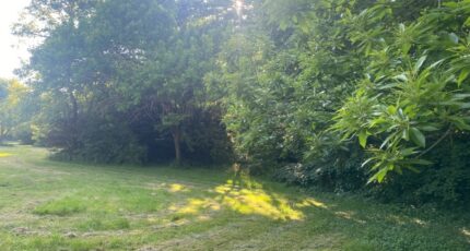 Montbazon Terrain à bâtir - 2385377-9897annonce120260108LMkE1.jpeg Maisons Open