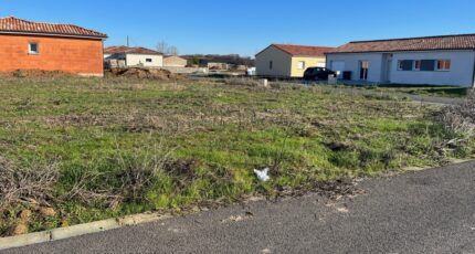 Lisle-sur-Tarn Terrain à bâtir - 2420792-2684annonce120260206sGbFc.jpeg Maisons Open