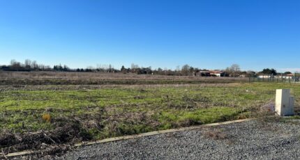 Lisle-sur-Tarn Terrain à bâtir - 2420792-2684annonce2202602063BqyR.jpeg Maisons Open