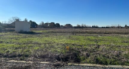 Lisle-sur-Tarn Terrain à bâtir - 2420792-2684annonce320260206braXI.jpeg Maisons Open