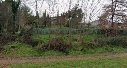 Aureville Terrain à bâtir - 2421332-11450annonce120260206WW47Z.jpeg Maisons Open