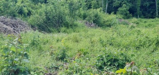 Terrain à bâtir à , Seine-et-Marne