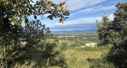 Barjac Terrain à bâtir - 2452907-11001annonce220260311vtsCS.jpeg Maisons Open