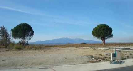 Saint-Jean-Lasseille Terrain à bâtir - 2452918-666annonce120260311TD2U0.jpeg Maisons Open