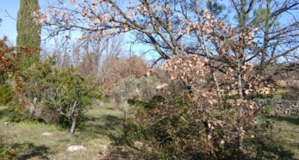 Garéoult Terrain à bâtir - 2451550-5922annonce12026031037XxP.jpeg Maisons Open