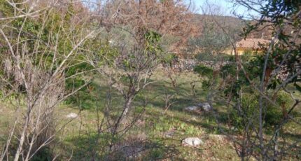 Garéoult Terrain à bâtir - 2451550-5922annonce420260310kGfzr.jpeg Maisons Open