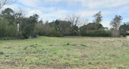 Puget-sur-Argens Terrain à bâtir - 2453111-5826annonce120260311VKnwL.jpeg Maisons Open