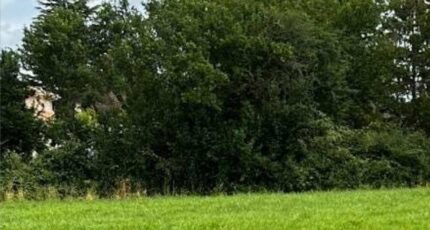 Pineuilh Terrain à bâtir - 2453016-4459annonce120241030dBlSk.jpeg Maisons Open