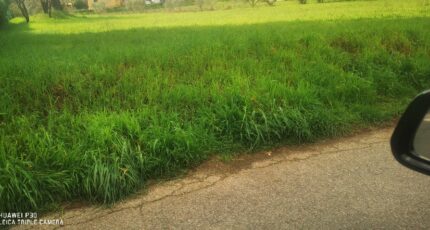 La Destrousse Terrain à bâtir - 2453675-10271annonce220260311FOPxL.jpeg Maisons Open