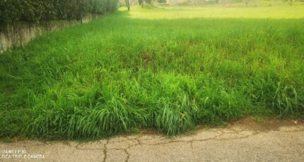 La Destrousse Terrain à bâtir - 2453675-10271annonce4202603116r7ex.jpeg Maisons Open