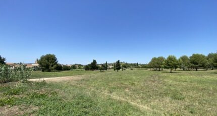 Saint-Pargoire Terrain à bâtir - 2453756-11018annonce120260311gCT9z.jpeg Maisons Open