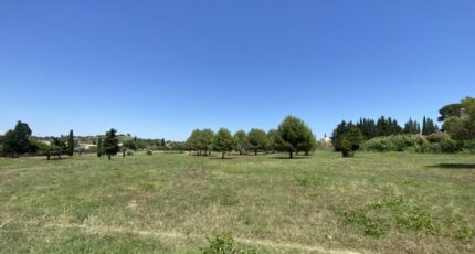 Saint-Pargoire Terrain à bâtir - 2453756-11018annonce220260311CNk6b.jpeg Maisons Open