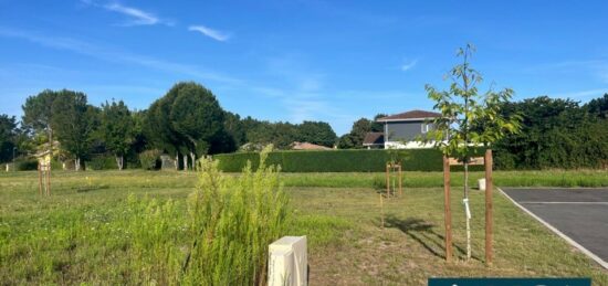 Terrain à bâtir à Seignosse, Nouvelle-Aquitaine