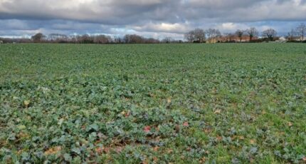 La Garnache Terrain à bâtir - 2453677-11728annonce420260311haang.jpeg Maisons Open