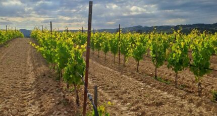 Pertuis Terrain à bâtir - 2454286-11238annonce120260312HIBHt.jpeg Maisons Open