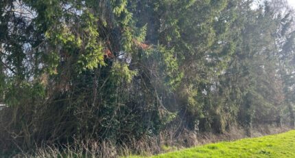 Vaudricourt Terrain à bâtir - 2453825-5804annonce120260311D1XSc.jpeg Maisons Open