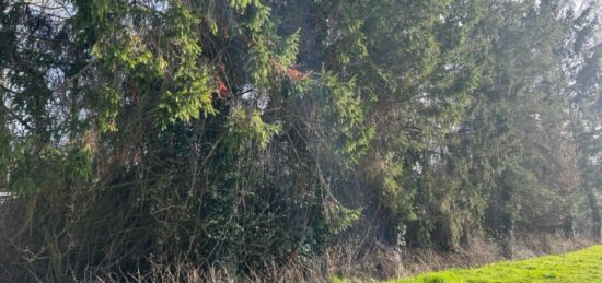 Terrain à bâtir à Vaudricourt, Hauts-de-France