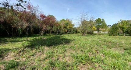 Carnoules Terrain à bâtir - 2451577-5922annonce3202603107wHHT.jpeg Maisons Open