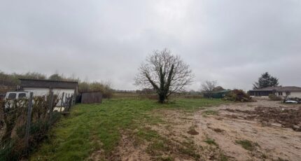 Cardan Terrain à bâtir - 2454875-10657annonce1202603128L3OK.jpeg Maisons Open