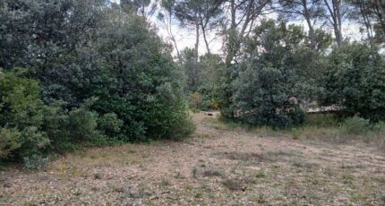 Ventabren Terrain à bâtir - 2455293-11680annonce220260312pbytf.jpeg Maisons Open