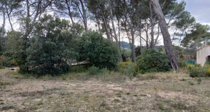 Ventabren Terrain à bâtir - 2455293-11680annonce3202603124VMqH.jpeg Maisons Open