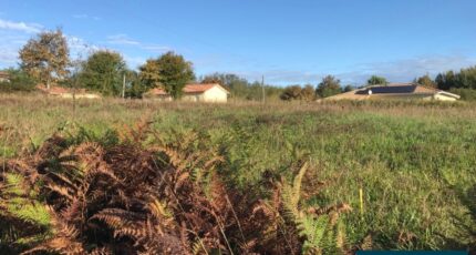 Labastide-d'Armagnac Terrain à bâtir - 2455114-5828annonce120250314TWfWH.jpeg Maisons Open
