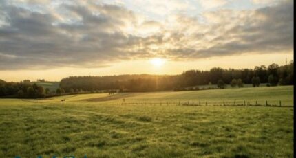 Cadaujac Terrain à bâtir - 2455381-11358annonce120260312EP5qS.jpeg Maisons Open