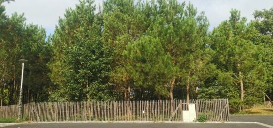 Terrain à bâtir à Castelnau-de-Médoc, Nouvelle-Aquitaine