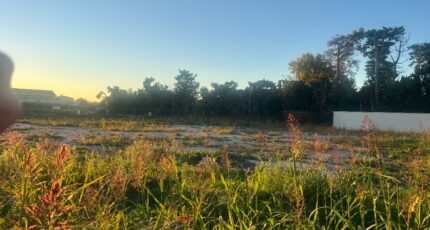 Châteaurenard Terrain à bâtir - 2455654-11073annonce520260312cUbBZ.jpeg Maisons Open