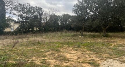 Bollène Terrain à bâtir - 2455729-6150annonce22026031352iCk.jpeg Maisons Open