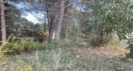 Alleins Terrain à bâtir - 2455828-3969annonce3202603134x0x2.jpeg Maisons Open