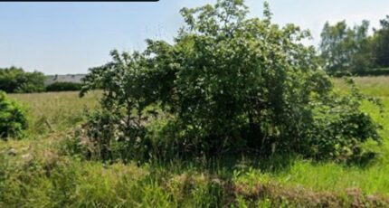 Saint-Pierre-de-Bailleul Terrain à bâtir - 2455779-11730annonce1202603136GTr5.jpeg Maisons Open