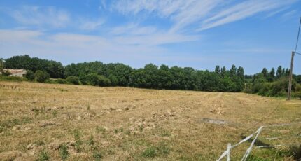 Pineuilh Terrain à bâtir - 2382124-11103annonce120260106bIhO1.jpeg Maisons Open