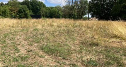 Archingeay Terrain à bâtir - 2456006-10974annonce120260313gUt71.jpeg Maisons Open